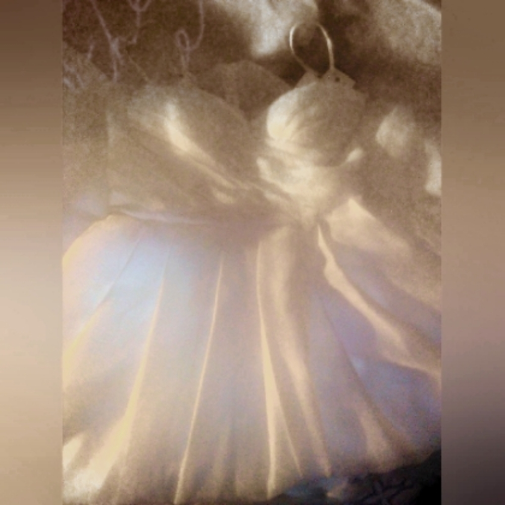 White wedding dress from Dave's Bridal.